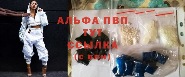 индика Вязьма