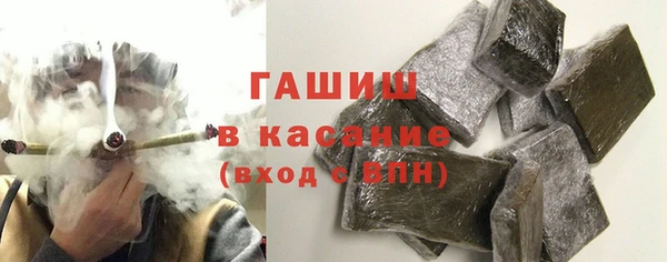 индика Вязьма