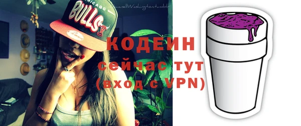 индика Вязьма