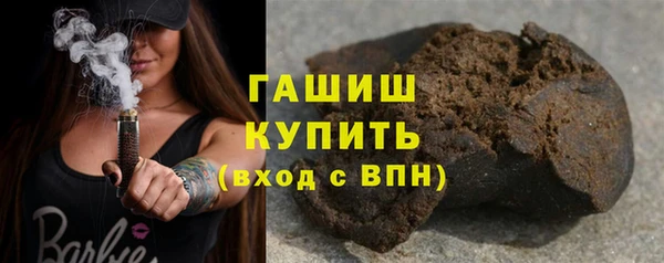 индика Вязьма