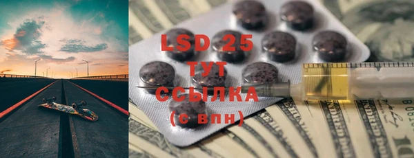 индика Вязьма