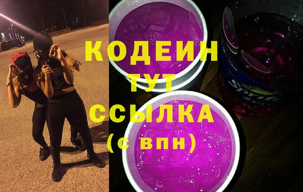 индика Вязьма