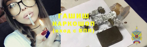индика Вязьма