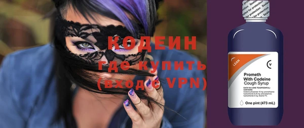 индика Вязьма