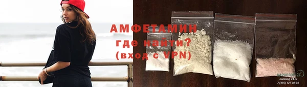 индика Вязьма