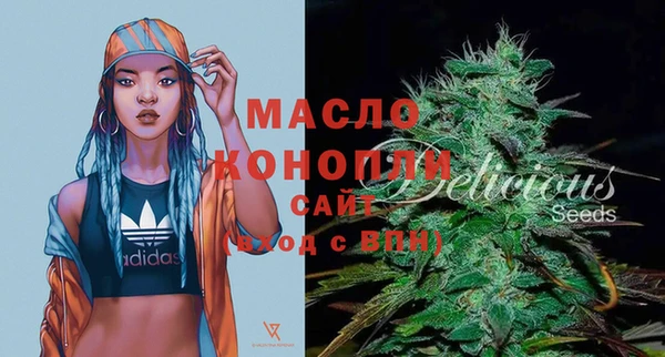 тгк Вяземский