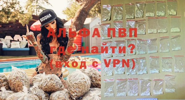 индика Вязьма