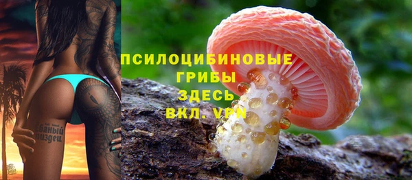 тгк Вяземский