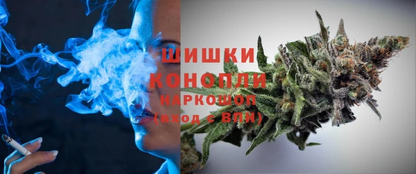 индика Вязьма