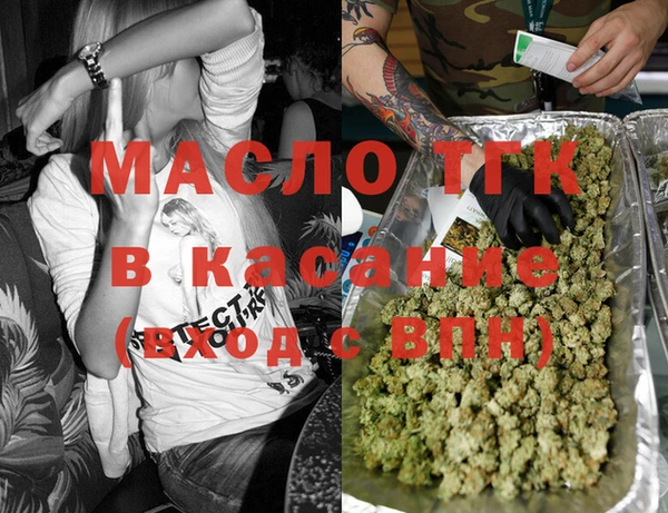 индика Вязьма